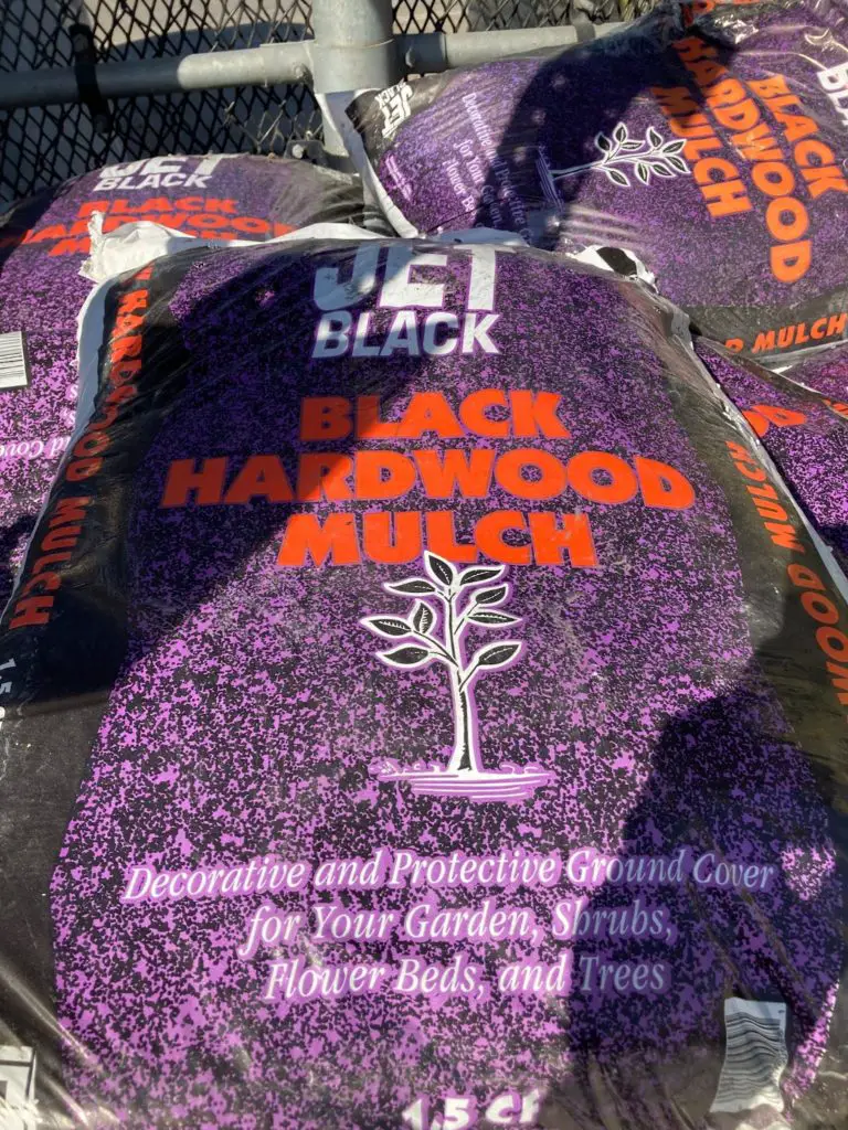 Jet Black mulch at lowes