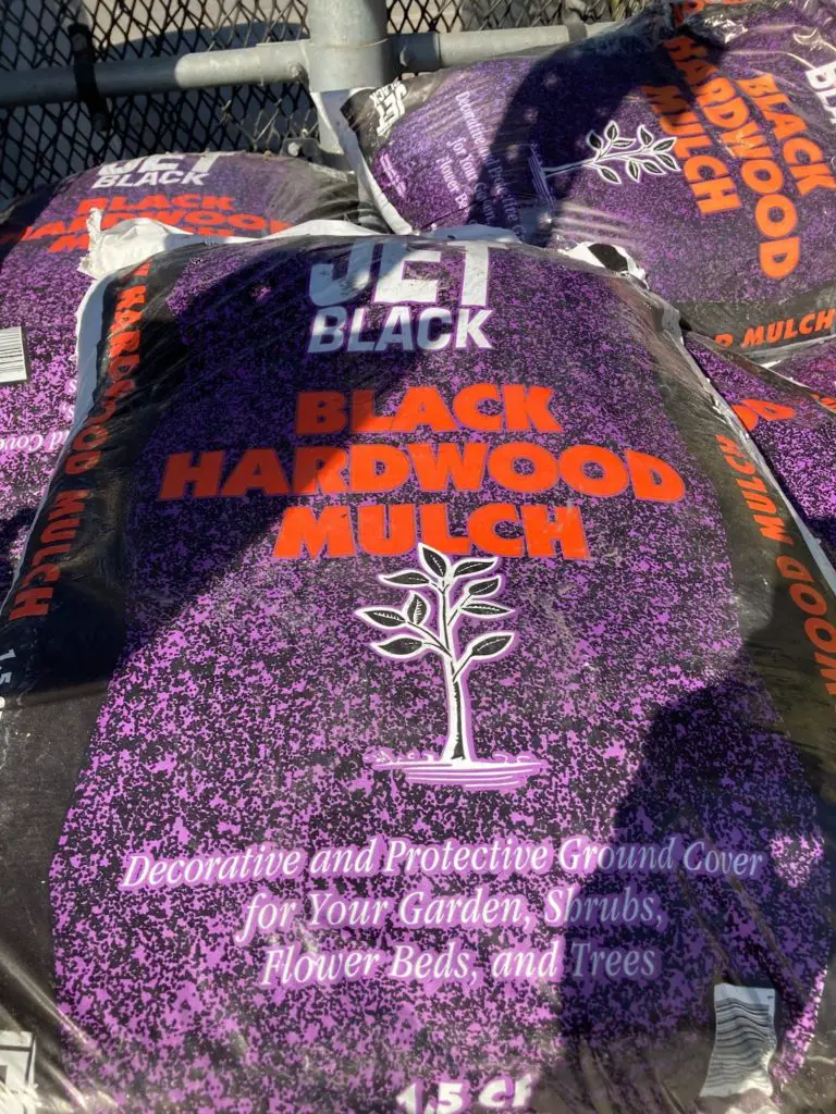 Lowes Black Mulch Sale 2024 Sibyl Elspeth   Image 5 768x1024 