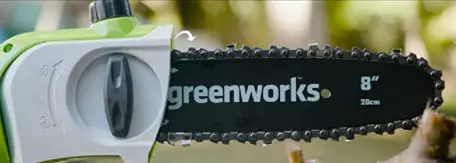 Greenworks 8 inch 40V pole saw
