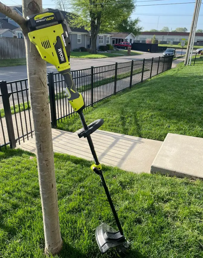 Weed eater ryobi online battery