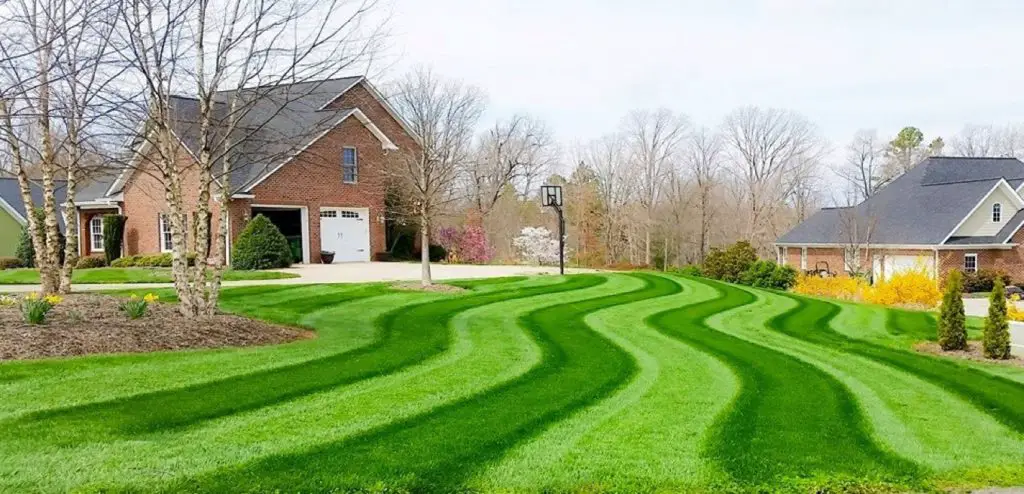 how to get Wavy Lawn Stripes