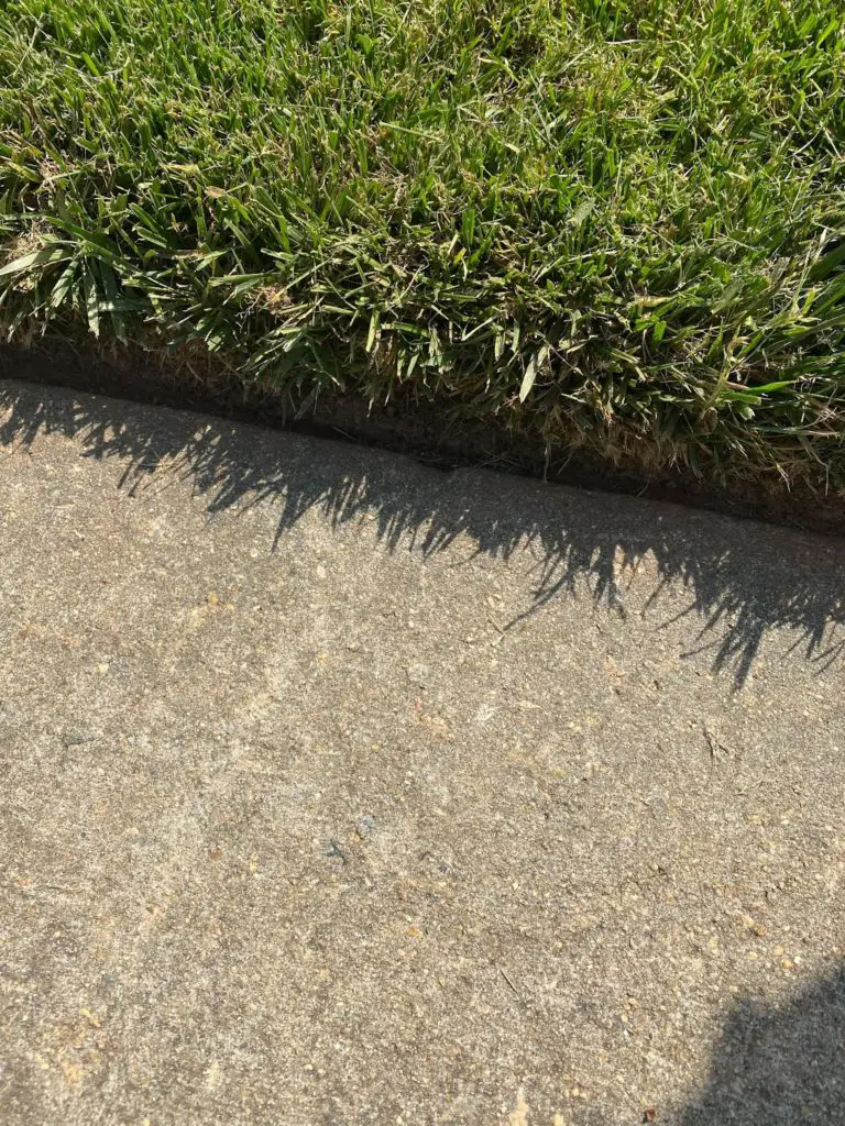 edged driveway