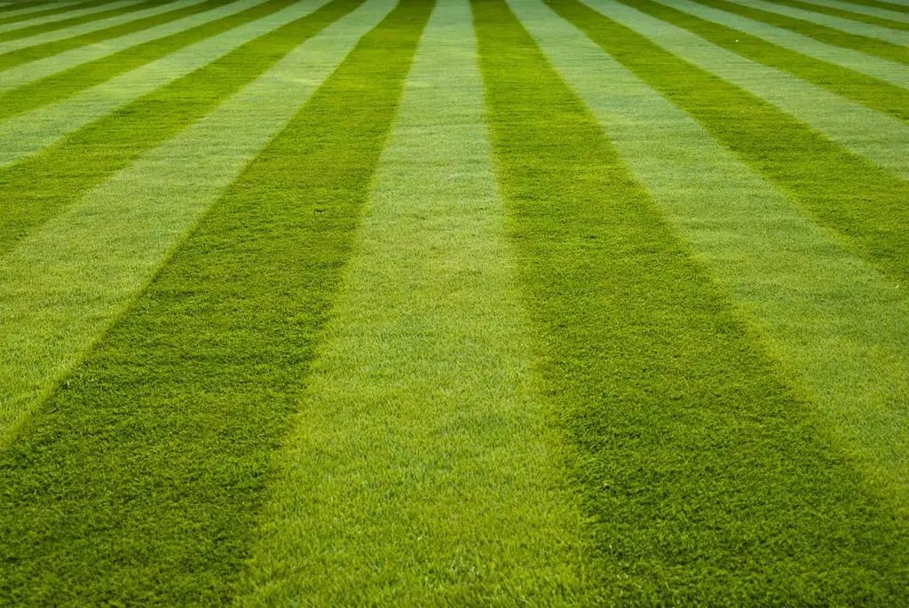 How to get lawn stripes