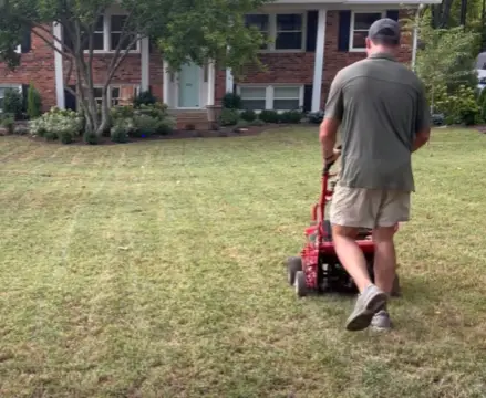 aerating vs dethatching