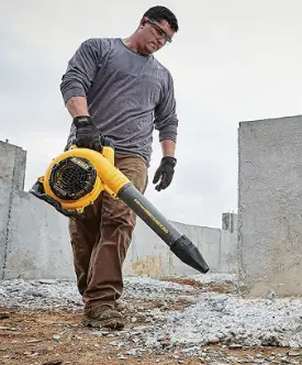 Dewalt flexvolt 60v max blower