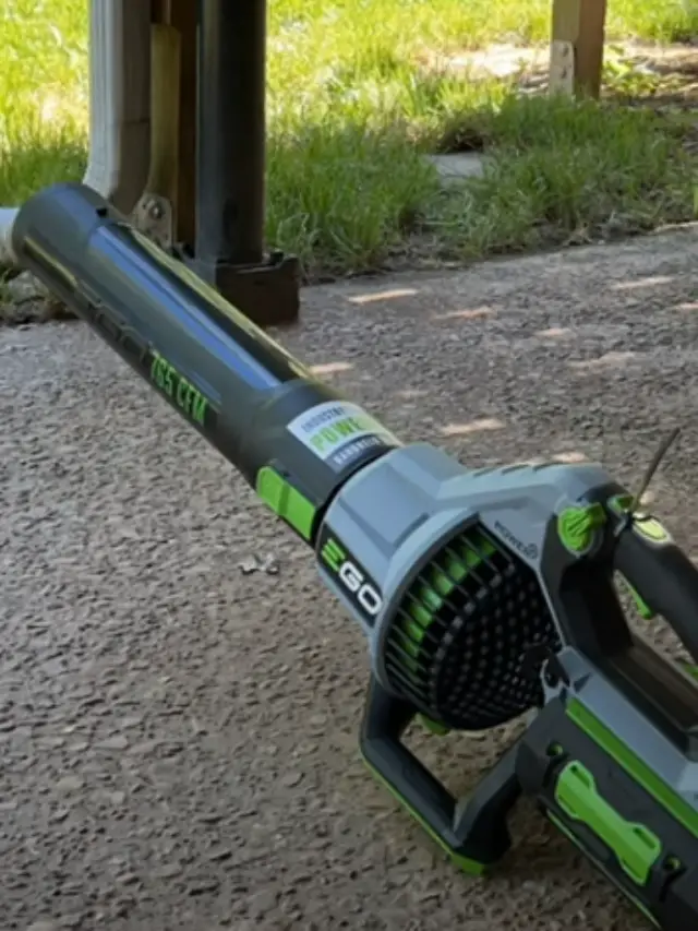 We Tested The 2 Most Powerful EGO Blowers: It Got WILD - The Lawn Review