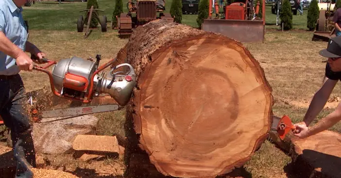 two handed chainsaw