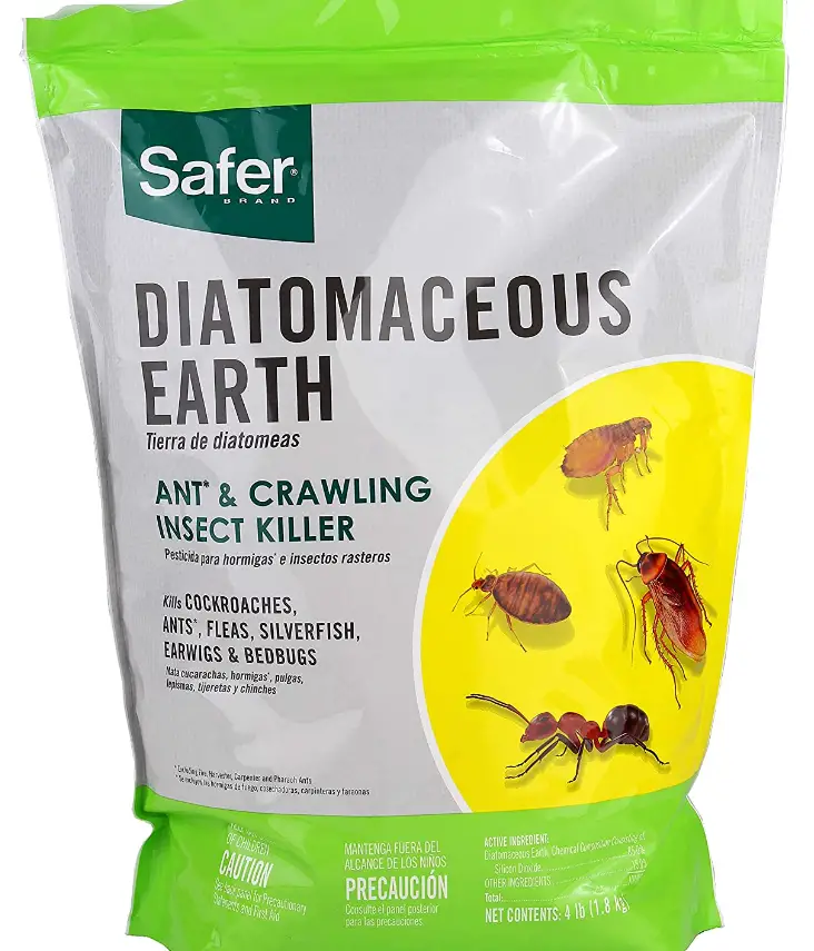 diatomaceous earth on amazon for killing ants