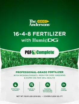 best grass fertilizer St. Augustine grass