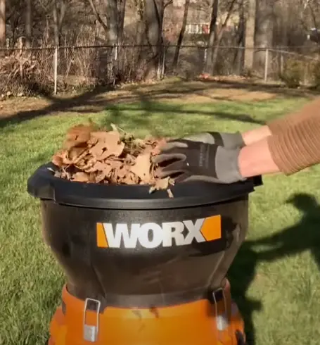 mulched leaves as fertilizer