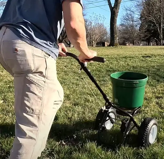 early spring lawn routine