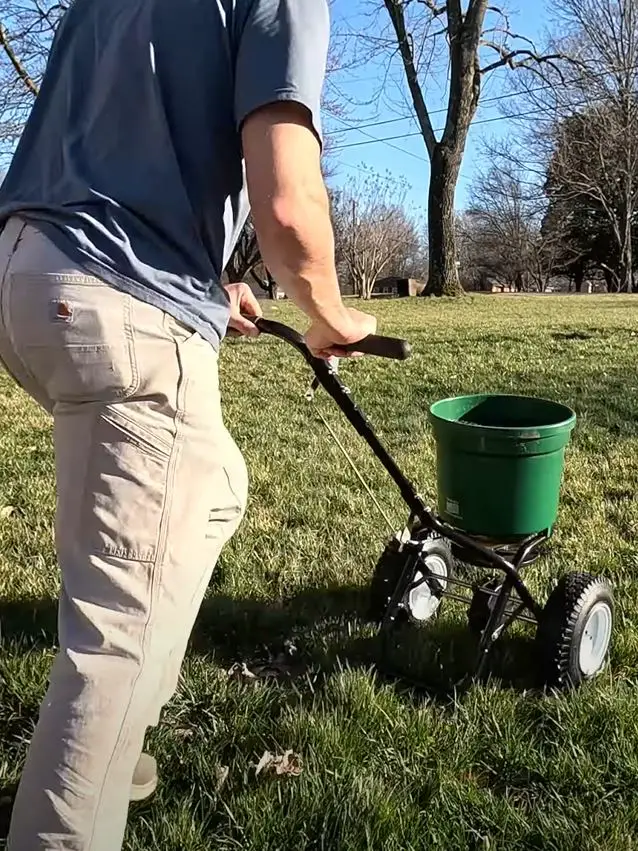 early spring lawn routine