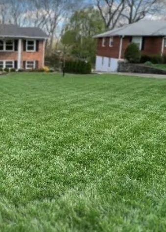 kill weeds and not your lawn