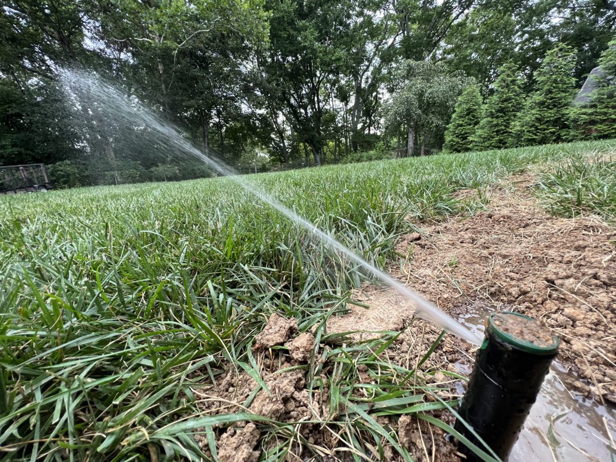 orbit sprinkler head used for watering during the summer