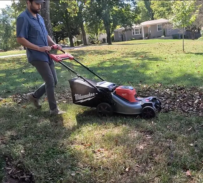 cleaning up leaves