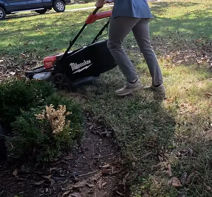 mowing low during fall