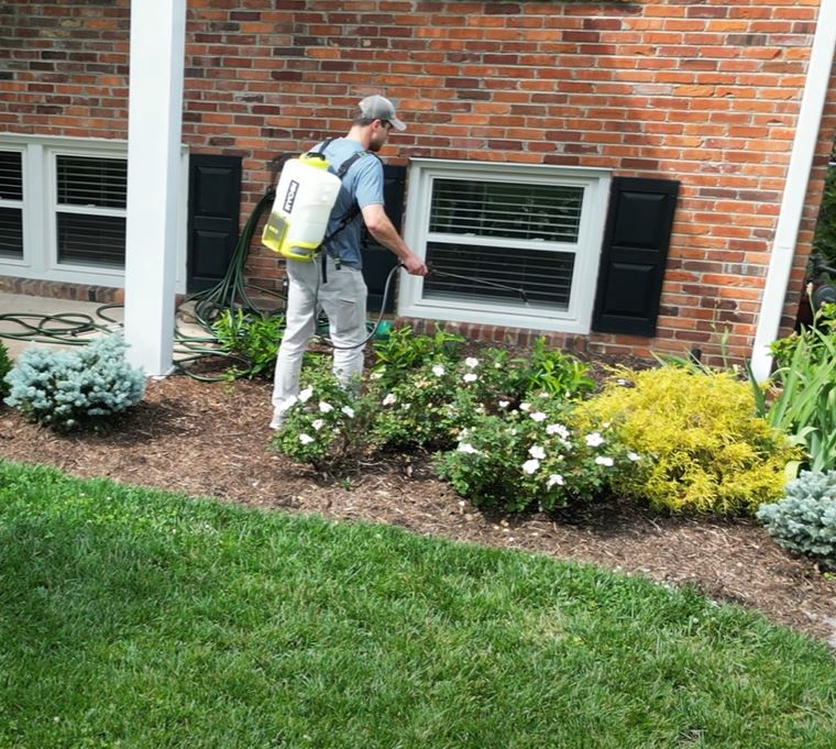 applying bioadvanced to my front shrubs